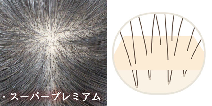 スーパープレミアムのつむじのアップ